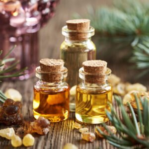 Christmas Tree Fragrance Oil