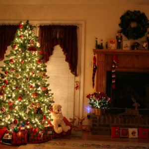 Christmas Tree Fragrance Oil